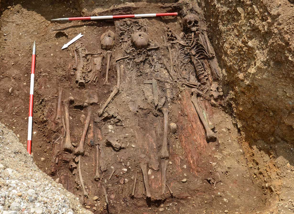 Eine Lage Skelette in dem dicht belegten Grab 9. 